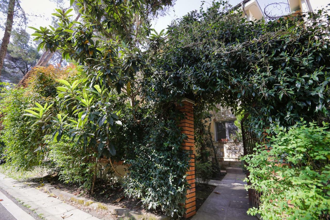 Pine-Tree Apt W/ Private Garden 50 M From The Sea Golem  Eksteriør billede